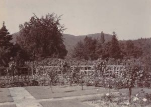 Ornamental Gardens Early 1900s_
